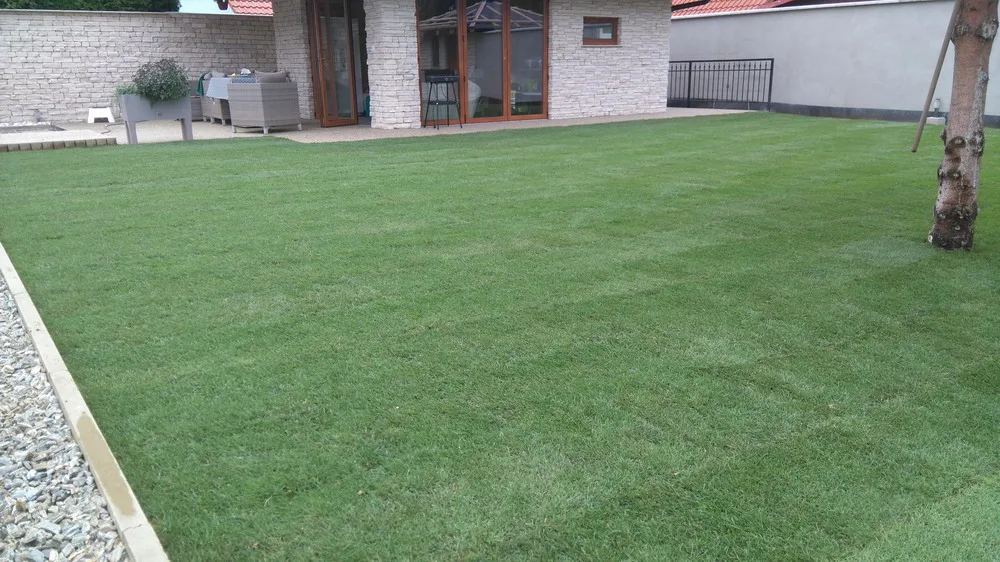 travní koberec 